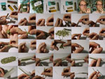 Fond ecran cannabis 15